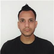 ingeniero de sistemas